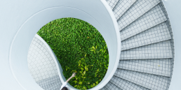 Sustainability Startups in Korea