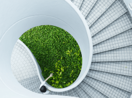 Sustainability Startups in Korea