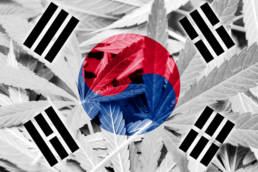CBD in Korea
