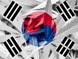 CBD in Korea