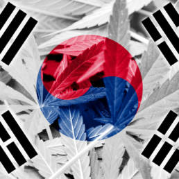 CBD in Korea