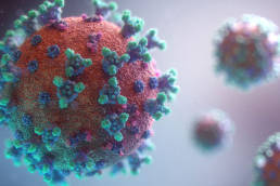 Covid-19 Virus