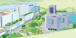 Healthcare System in South Korea
