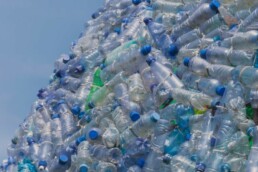 Korean startups Using Recycled Material