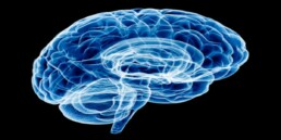 neurology startups in Korea