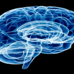 neurology startups in Korea