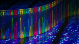 genetic startups in Korea