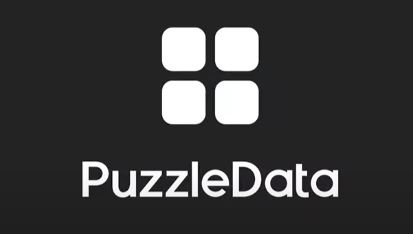 Puzzle Data