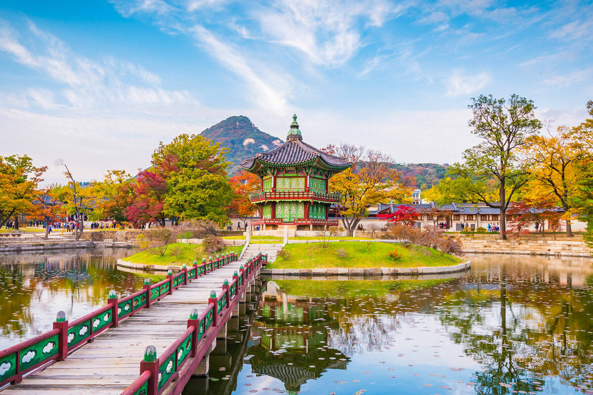 Tour Packages in Korea