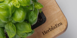 HerbiaEra