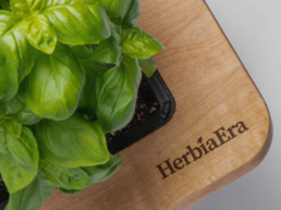 HerbiaEra