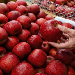 apple